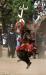 Danses des masques cérémoniels dogons au village d'Iteri - 5